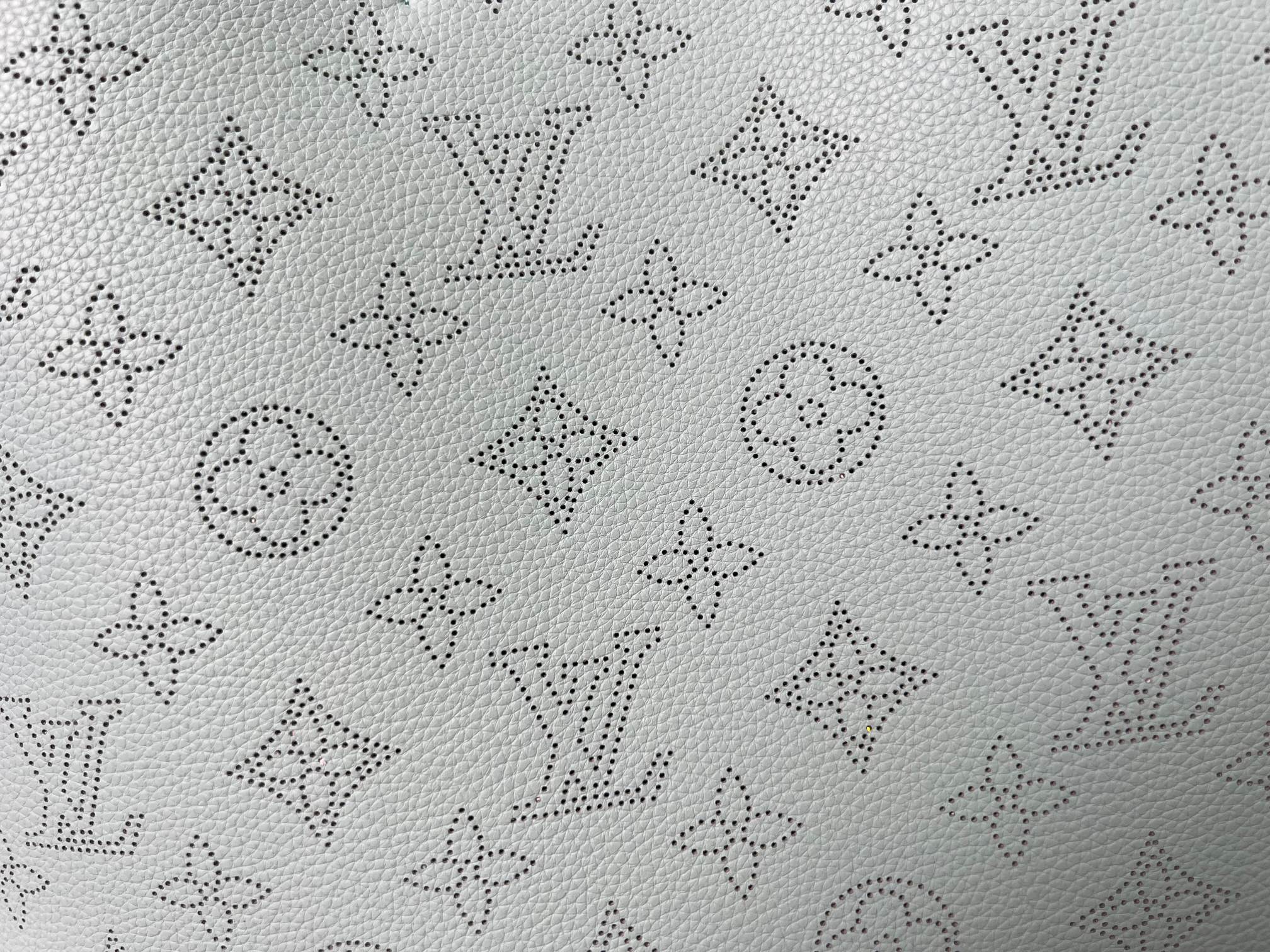 Louis Vuitton Bucket Bags